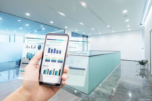 中小微企業(yè)信息化產(chǎn)品的五大特征解析 以信息咨詢服務為例